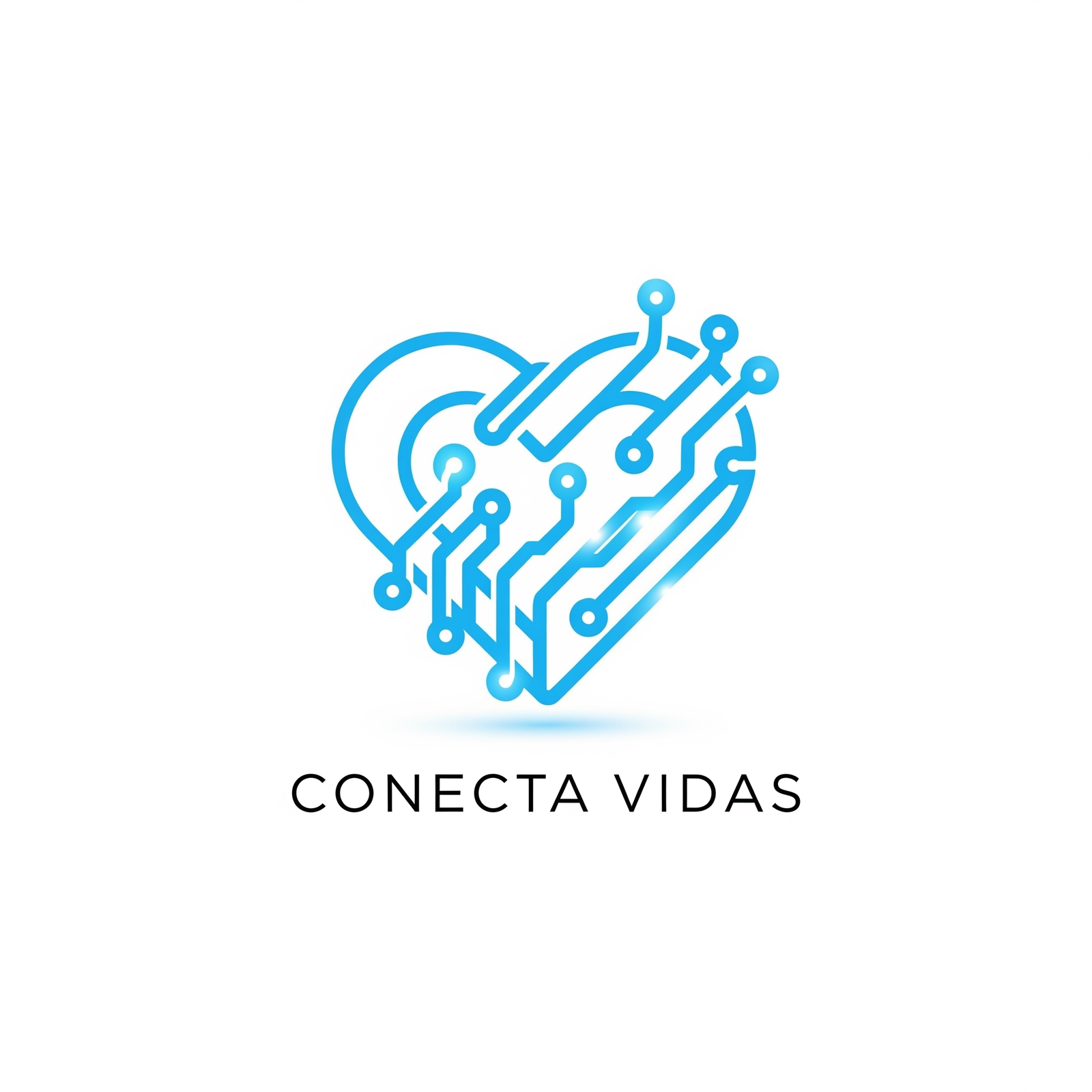 Logo Conecta Vidas